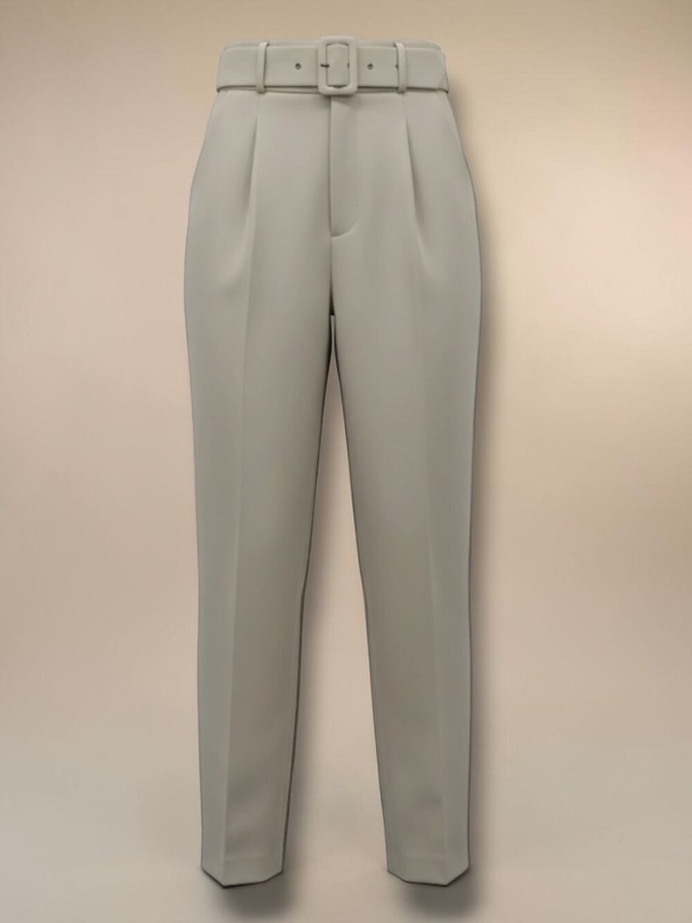 Zara High-Waist Belted Pleated Trousers